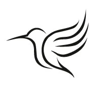 HUMMINGBIRD SKILL